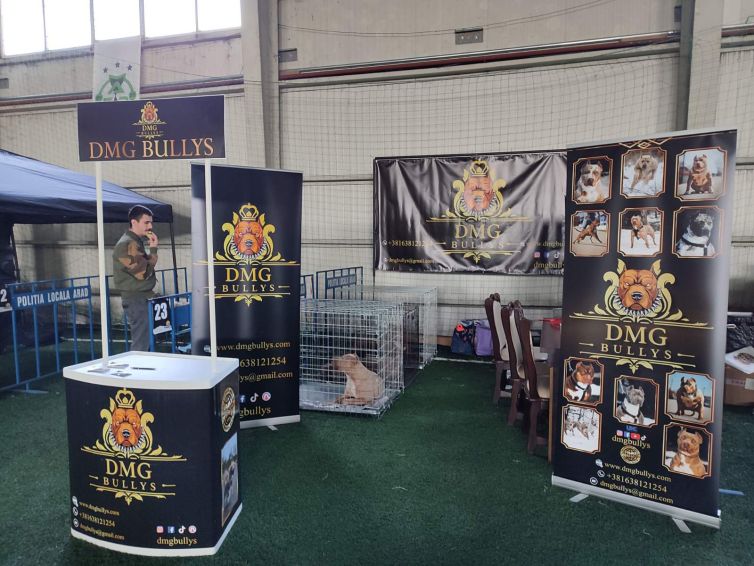 Roll up, promo pult, baner